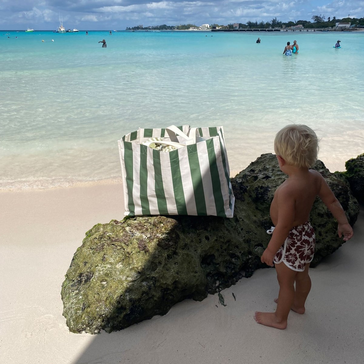 Sunnylife Carryall Beach Bag - The Vacay Olive Stripe