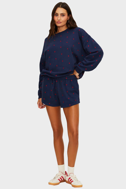Beach Riot Malik Shorts