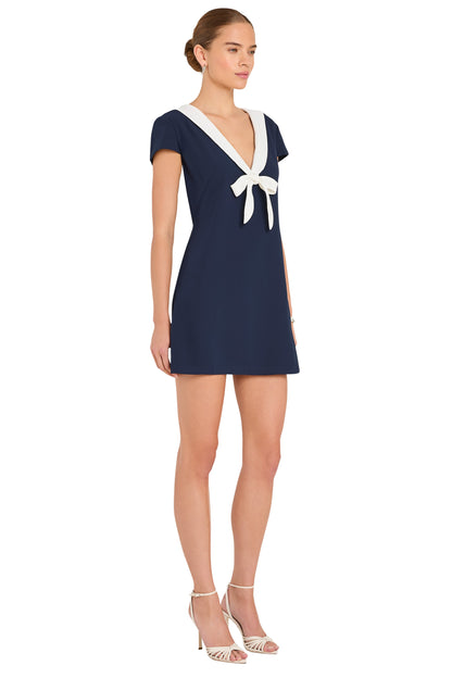 Amanda Uprichard  Oxford Dress