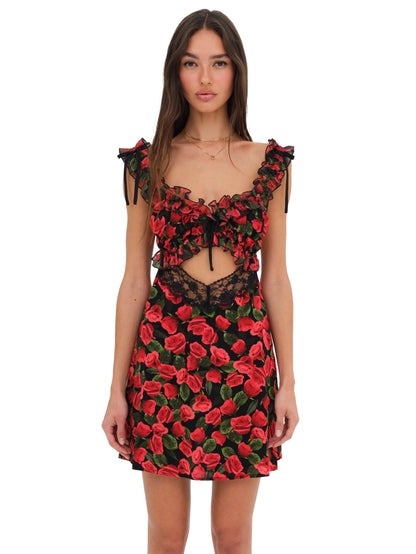 For Love & Lemons Varvera Mini Dress