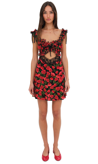 For Love & Lemons Varvera Mini Dress