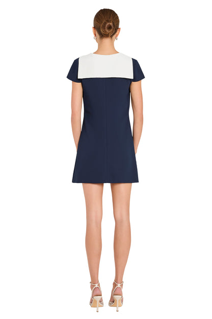 Amanda Uprichard  Oxford Dress